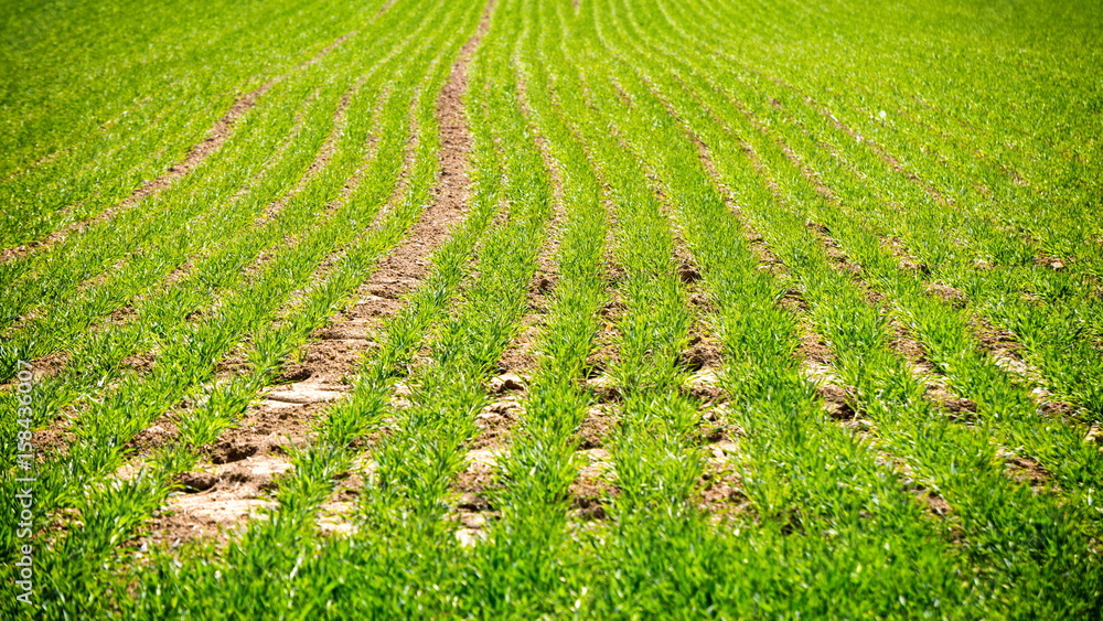Rolling landscape of South Moravia, Czech Republic Rolling landscape of South Moravia, Czech Republic
