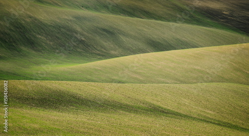 Spring Field in South Moravia, Moravia, South Moravia, Czech republic