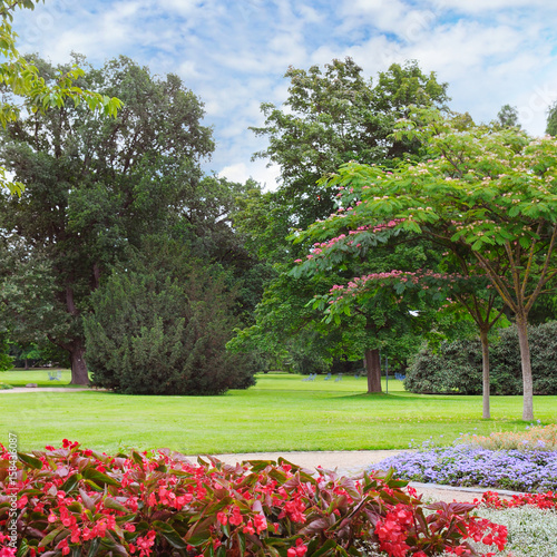 Photos summer park with beautiful flowerbed