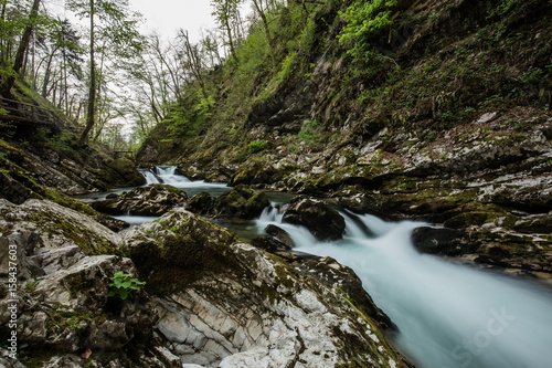 Water stream (Vintgar gorge)