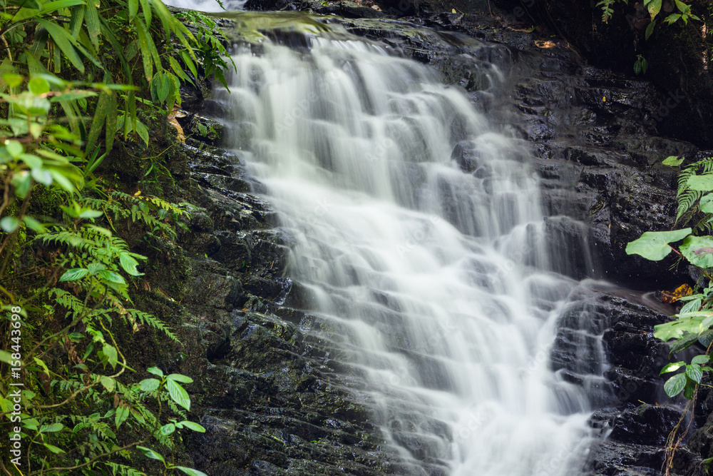 Small waterfall in monteverde cloud forest reserve Small waterfall in monteverde cloud forest reserve