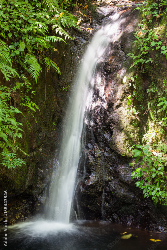 Small waterfall in monteverde cloud forest reserve Small waterfall in monteverde cloud forest reserve
