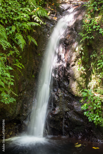 Small waterfall in monteverde cloud forest reserve