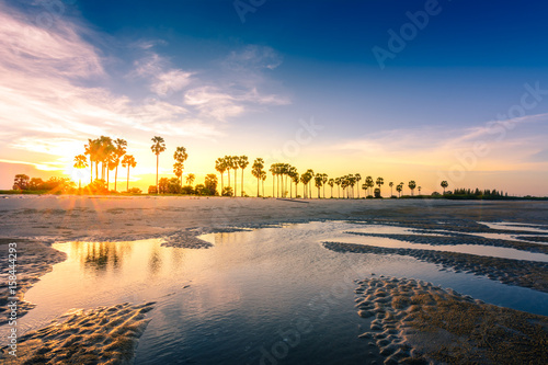 Beautiful sunset on the beach. Portrait of beautiful beaches and palm.