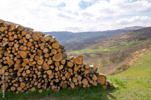 panorama of the emilia romagna hills with woodpile