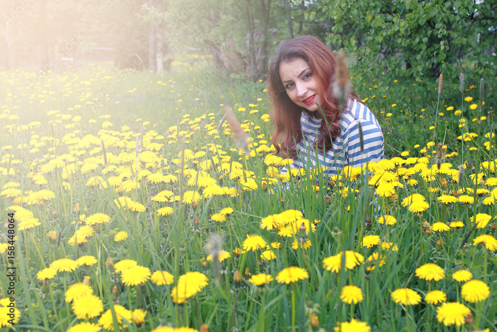 girl resting on a sunny day in meadow of yellow dandelions girl resting on a sunny day in meadow of yellow dandelions