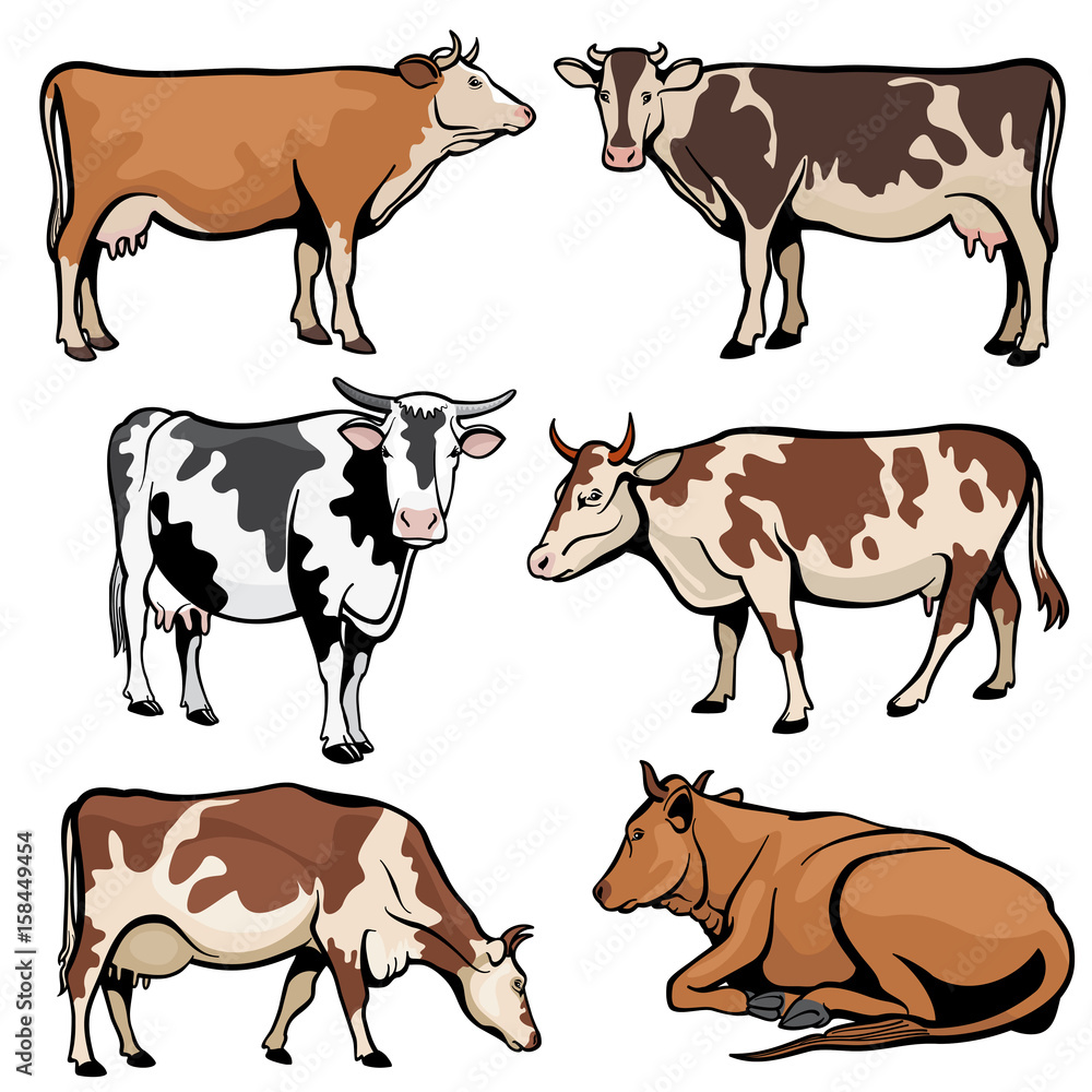 Fototapeta premium Farm cows, dairy cattle in cartoon vector style