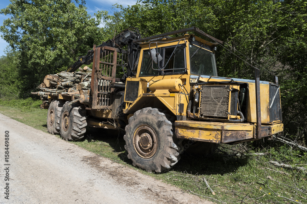 camión forestal cargado de madera