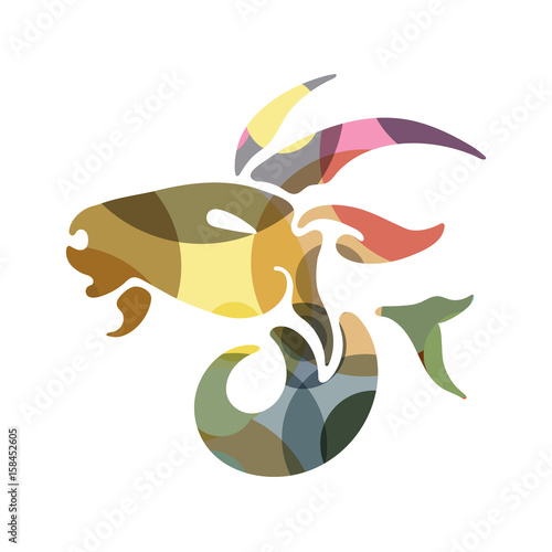 Capricorn zodiac Sign