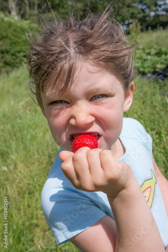 croquer les fraises du jardin