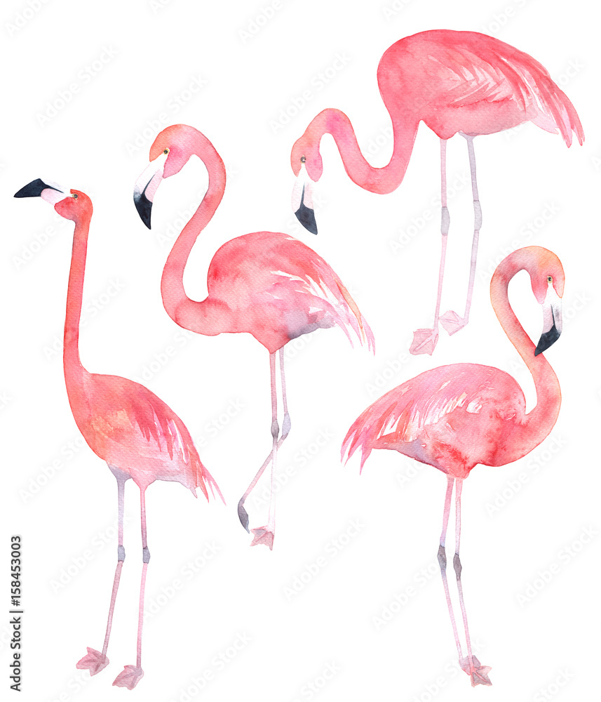 Naklejka premium Set watercolor random flamingos. Isolated illustration