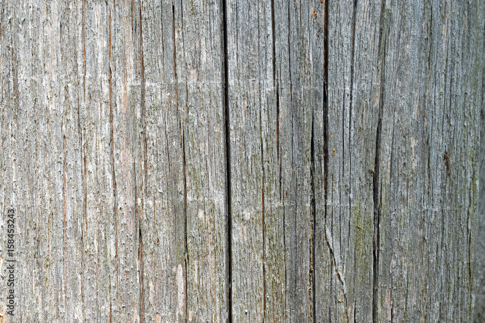 Old gray wooden wall for background or texture