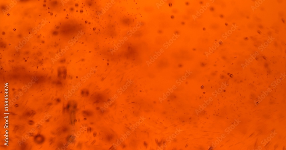 macro bière macro bière