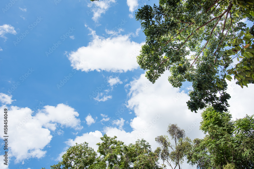 Obraz premium Blue sky with white cloud. Natural cloudscape background