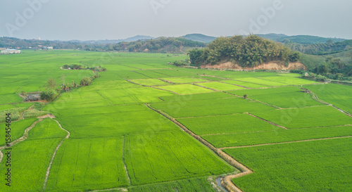 Aerial view of rice field with mountain © Phongphao