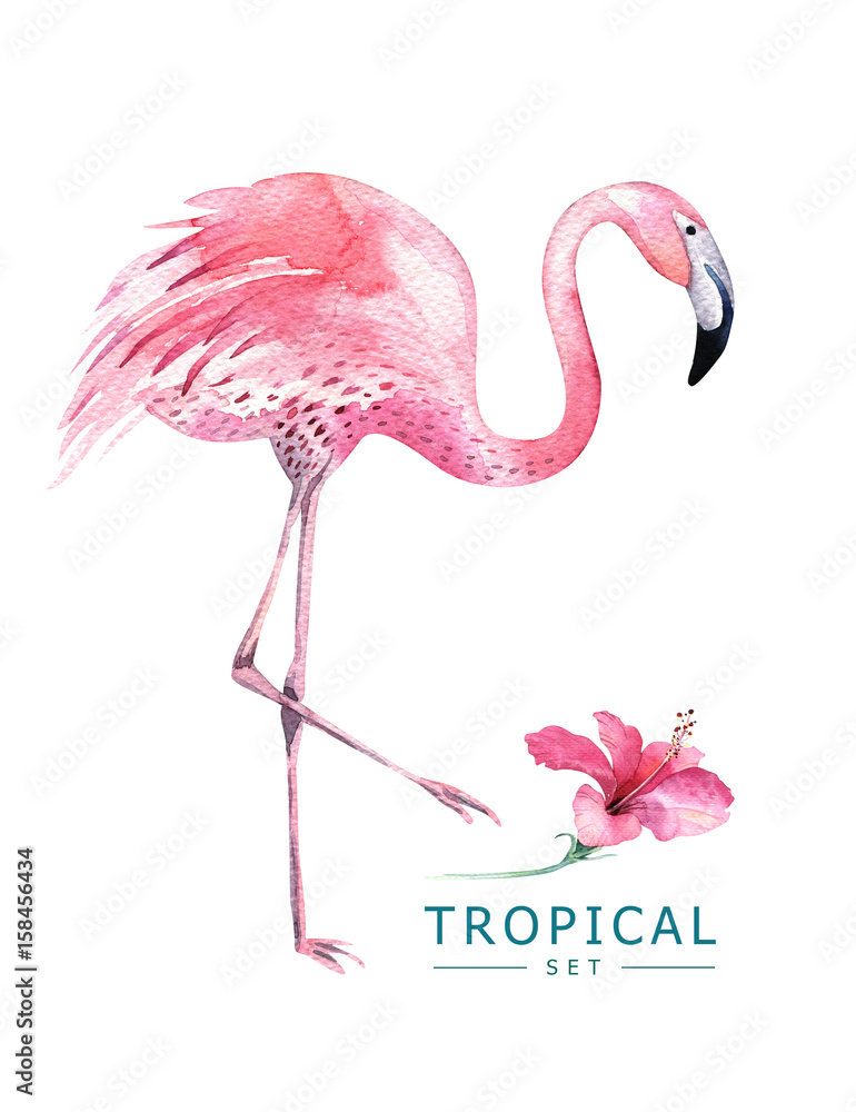 Obraz premium Hand drawn watercolor tropical birds set of flamingo. Exotic bird illustrations, jungle tree, brazil trendy art. Perfect for fabric design. Aloha set