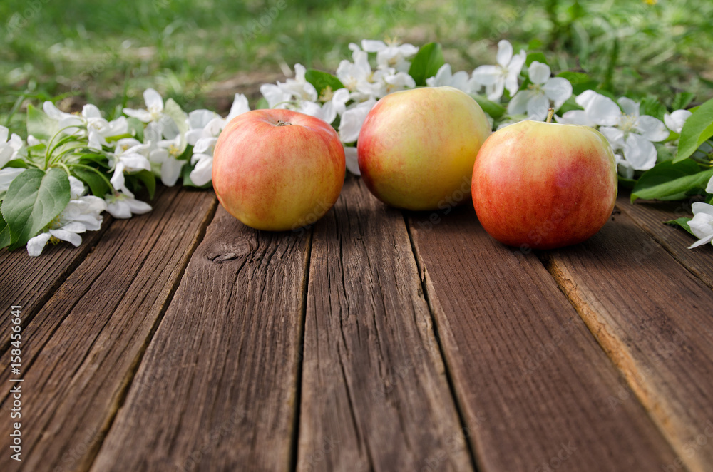 Ripe apples and apple blossom on a wooden background. Free space, side view Ripe apples and apple blossom on a wooden background. Free space, side view