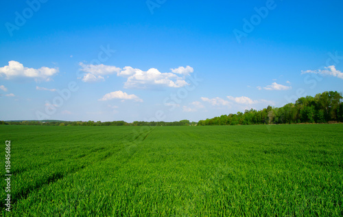 green field and blue sky © photolink
