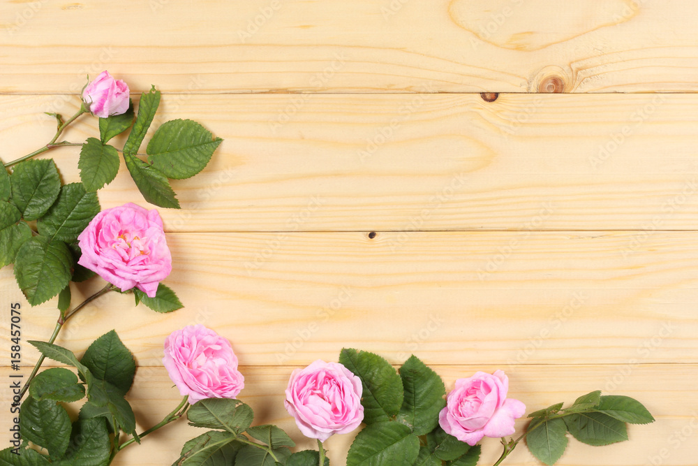 pink rose flowers on light wood background. top view with copy space