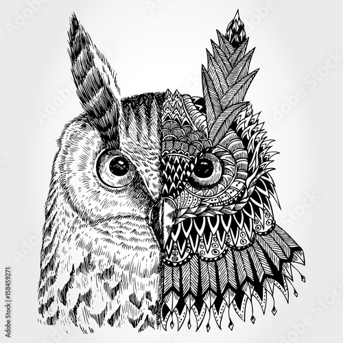 Abstract owl illustration, Vector