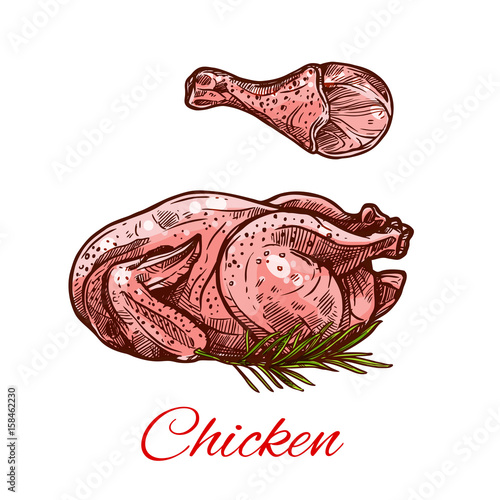 Chicken meat and leg vector isolated icon