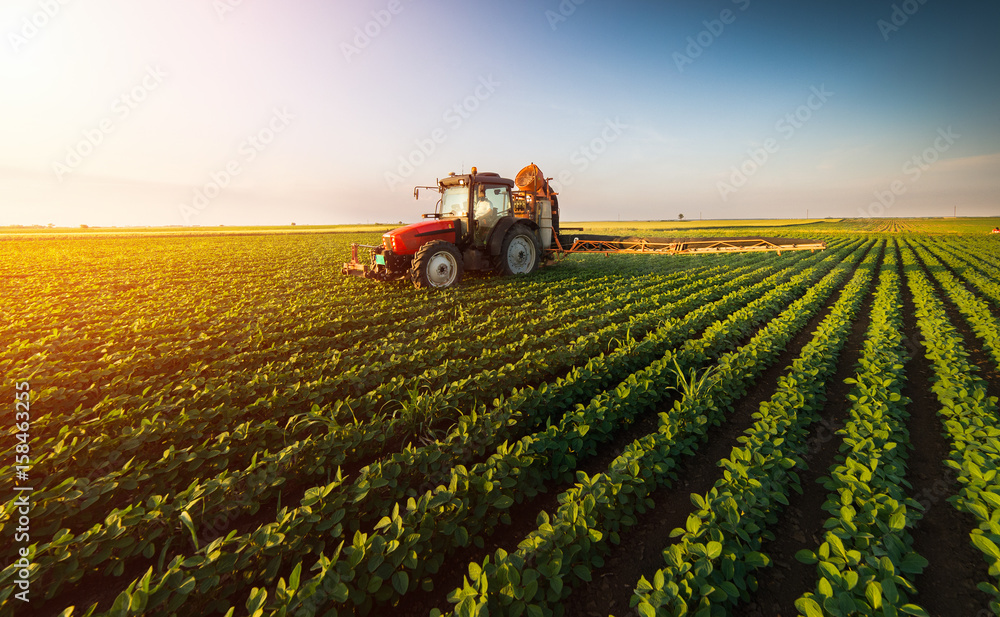 Tractor spraying soybean field at spring Tractor spraying soybean field at spring