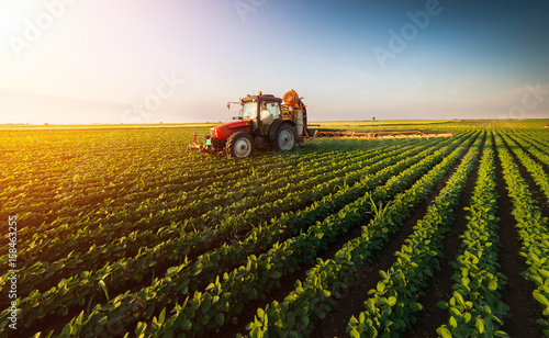 Fényképezés Tractor spraying soybean field at spring