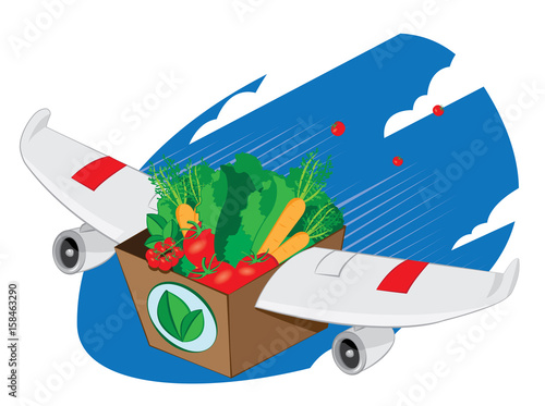 vector cartoon representing an airplane winged carton package full of fresh vegetables and fruit flying and landing - online order and very fast shipping concept