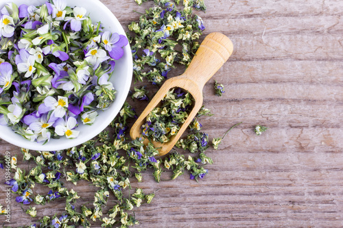 Fototapeta Naklejka Na Ścianę i Meble -  small, violet heartsease / Fresh and dried flowers from field pansy 