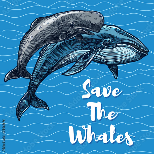 Vector poster for whales saving