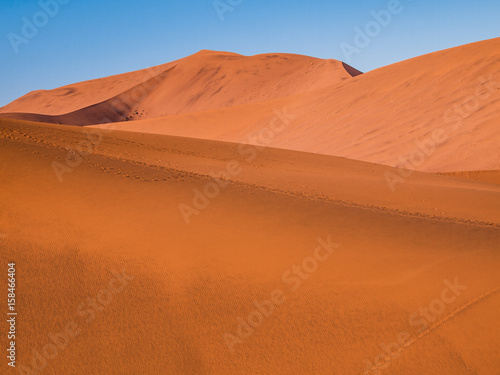 Sand dune in the Namib Naukluft National Park  Sesriem  Namibia