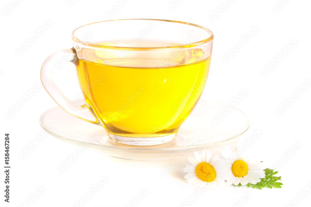 Herbal tea with fresh chamomile flowers isolated on white background