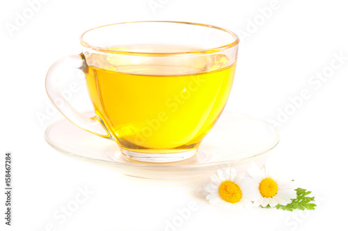 Herbal tea with fresh chamomile flowers isolated on white background