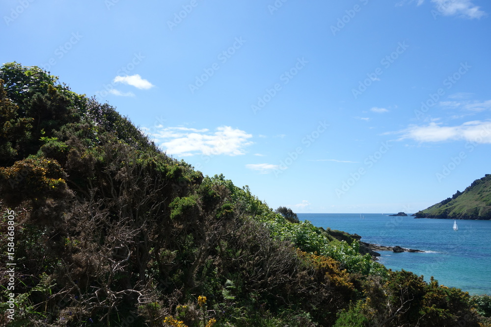 Obraz premium Coastal Walk