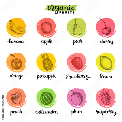Fruits and berries sketches collection. Hand drawn greengrocery set for organic drink cards, farm eco products tags