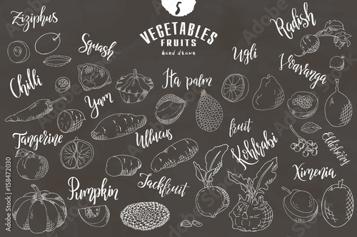 Hand drawn vegetables and fruits. Vector fresh collection of natural food. Sketch illustration