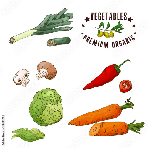 Vector vegetable element of leek, mushroom, chilli, iceberg lettuce, carrot. Hand drawn icon with lettering. Food illustration for cafe, market, menu design.