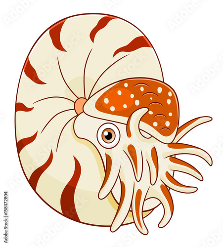 Cartoon cute nautilus