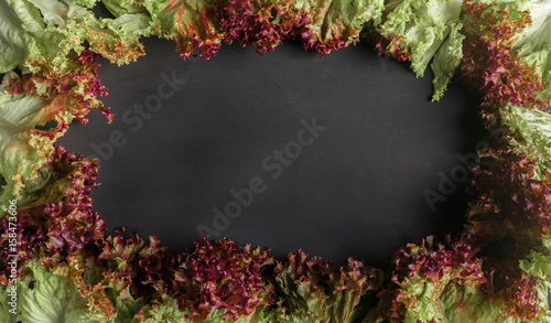 Wallpaper Mural Fresh Red Oak vegetable on black background with space for you text Torontodigital.ca