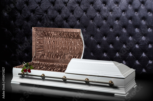 Fotografie Opened wooden white sarcophagus isolated on gray luxury background