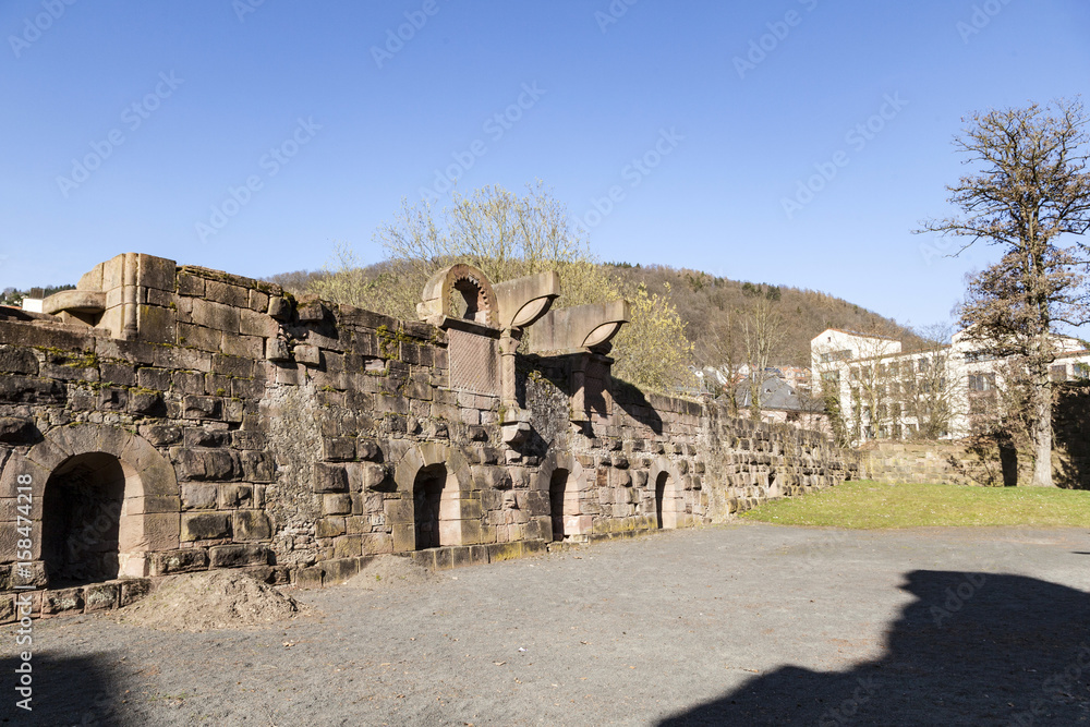 famous old ruins of castle from king Barbarossa, the Kaiserpfalz