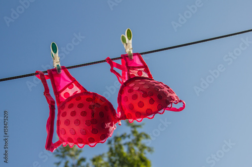 Clothesline with pink bra photo