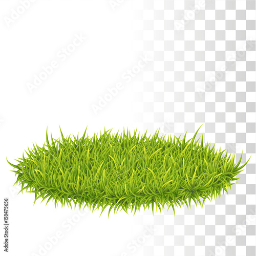 Oval Carpet Of Grass