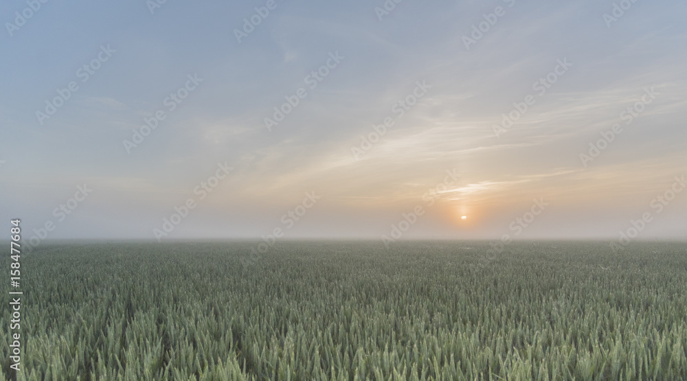sunrise in the countryside