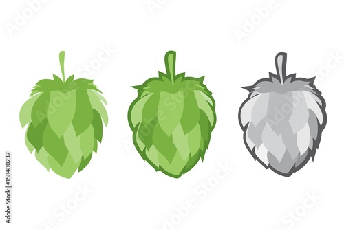 Green hops set. Vector illustration