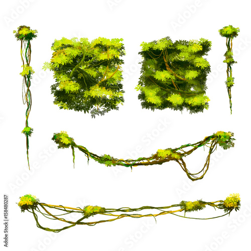 Cute cartoon tropical vines and bushes isolated on white
