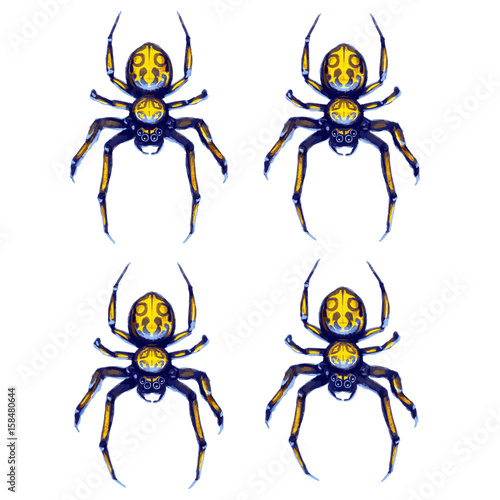 Sprite sheet of crawling spider, game art animation