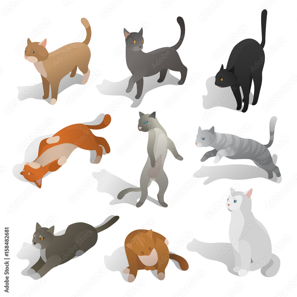 Set of isometric cats in different poses, walking, seating, jumping, sleeping. Realistic cartoon style. Collection of domestic animals in isometric. Isolated vector illustration art.