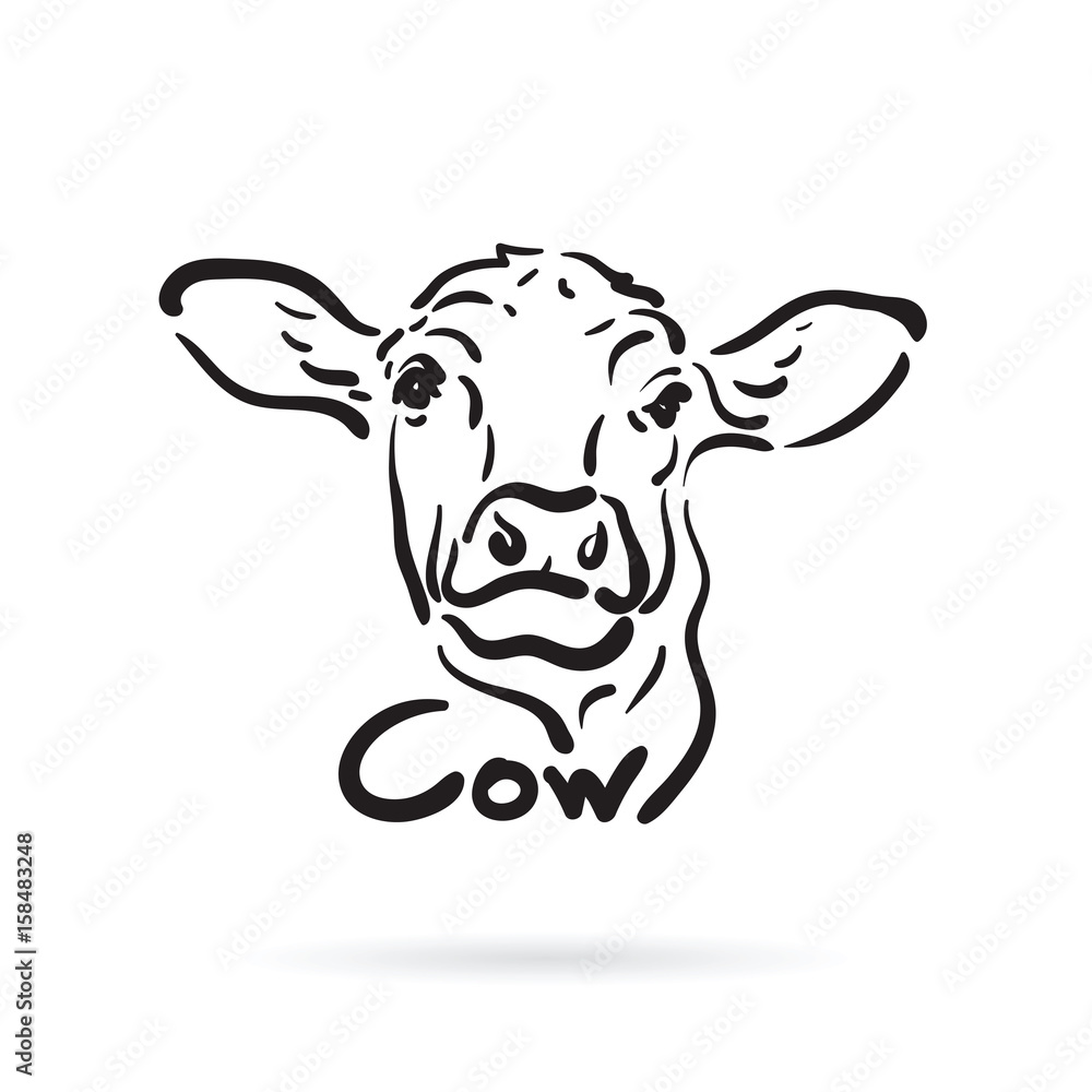 Vector of hand drawn cow on white background. Farm Animal.