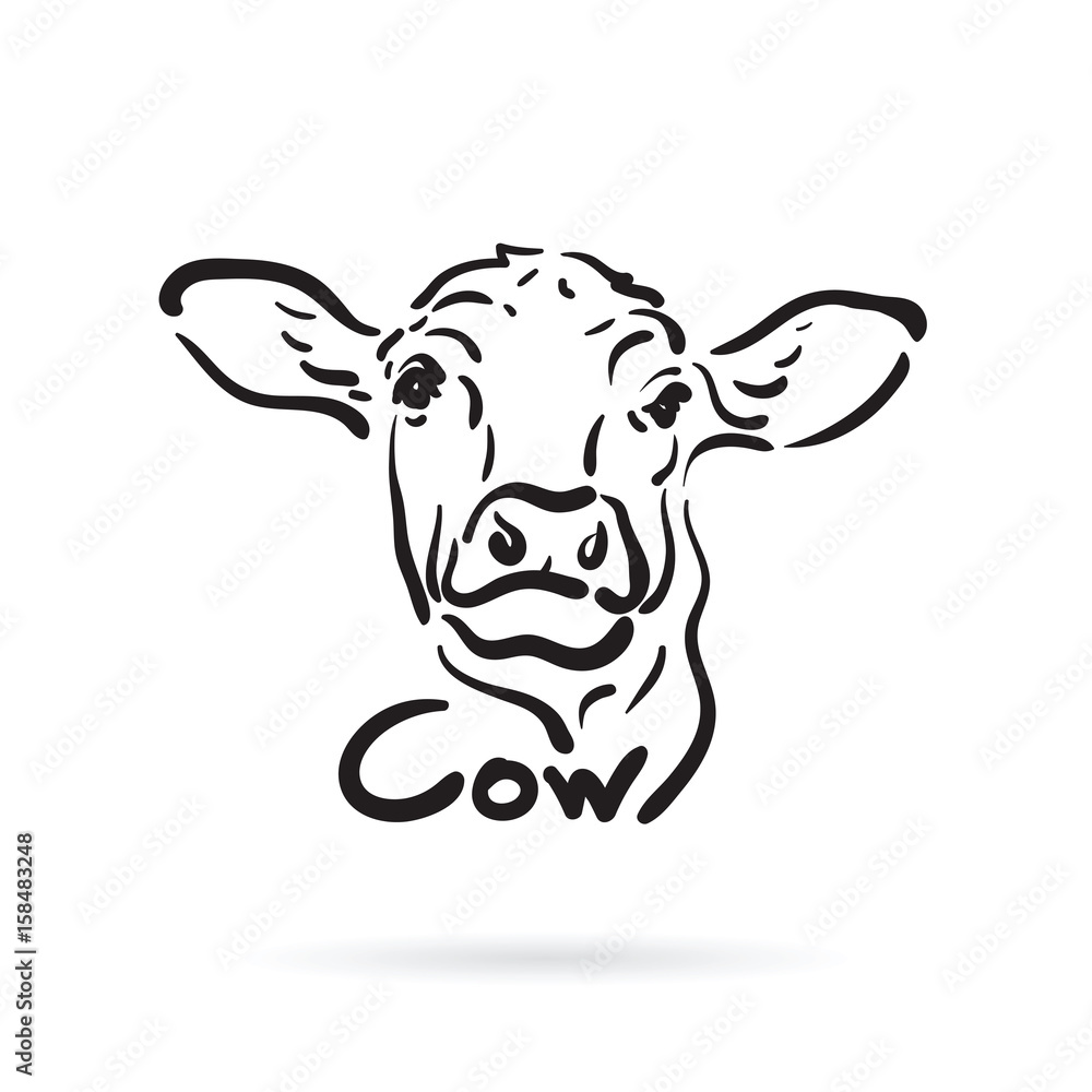Vector of hand drawn cow on white background. Farm Animal. Vector of hand drawn cow on white background. Farm Animal.